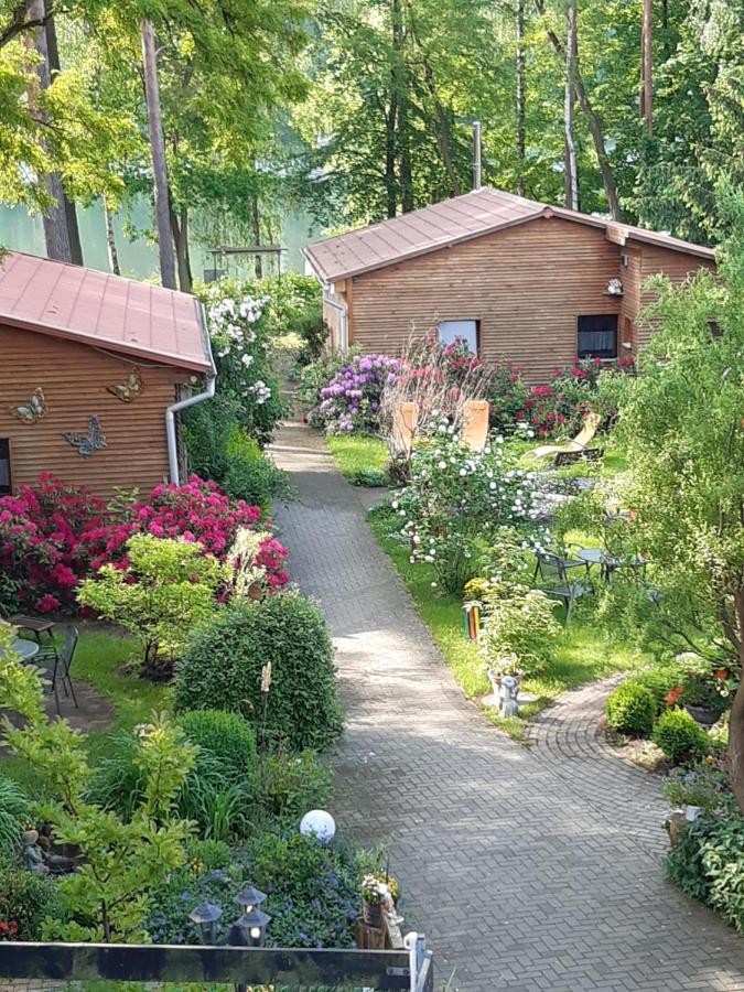 Monikas Gaestehaeuser Seeblick Himmelpfort Kültér fotó