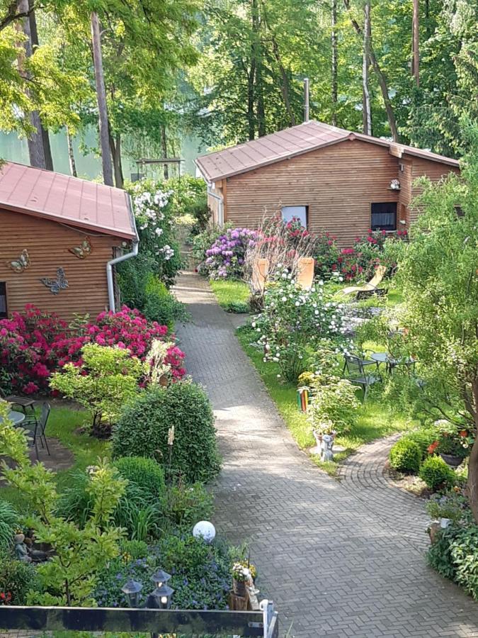 Monikas Gaestehaeuser Seeblick Himmelpfort Hotel Kültér fotó